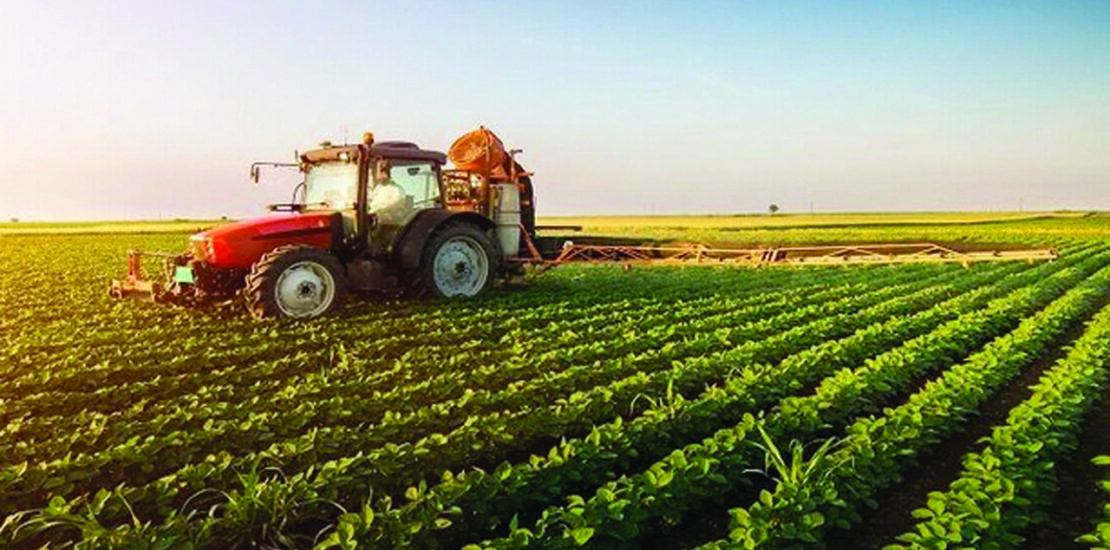 Financing for Large agricultural Projects