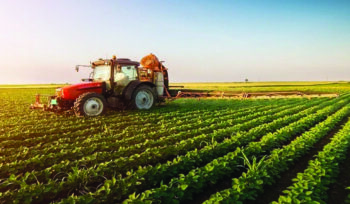 Financing for Large agricultural Projects