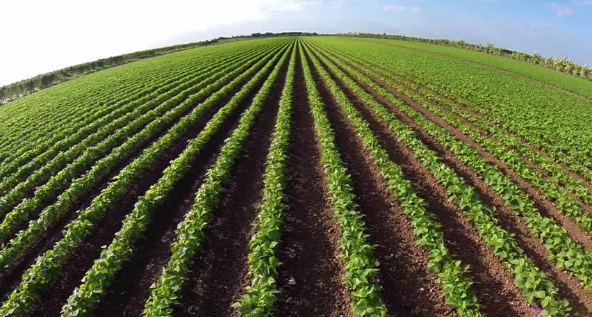 Farms and Agricultural loans in Taiwan