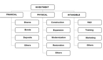 Financial investment and economic crisis