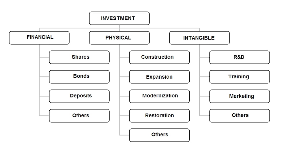 Financial investment and economic crisis